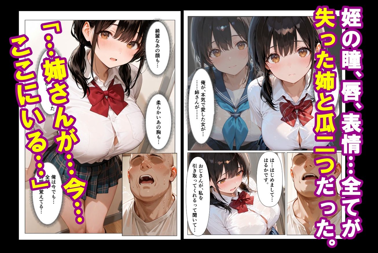 実姉を奪い損ねた男が、姉にそっくりな姪に、執着の精子をどろどろと注ぎ込む話 - サンプル画像 5