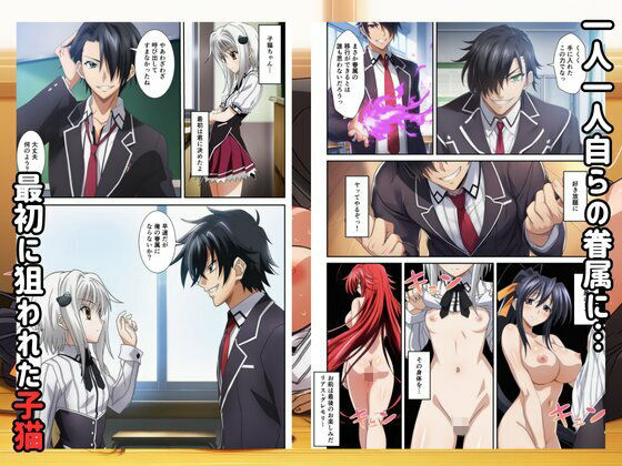 ハーレムハイスクールD×D！もしリアスの眷属が俺のものになったら - サンプル画像 2