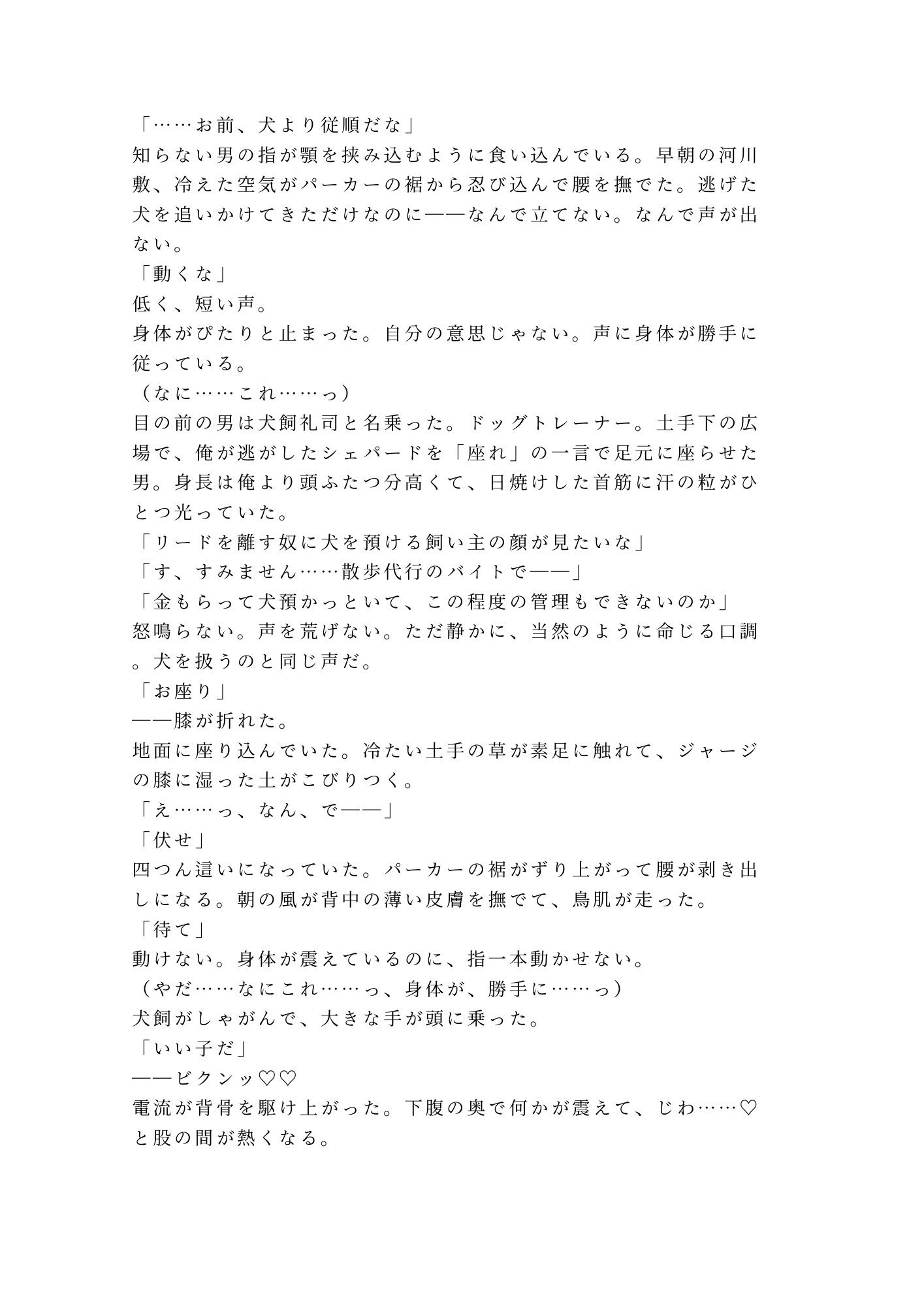 お座り――いい子だ  早朝の河川敷でドッグトレーナーに首輪を嵌められた散歩代行バイトのカントボーイが犬以下の躾で四回中出しされて雌犬に堕とされる話 - サンプル画像 2