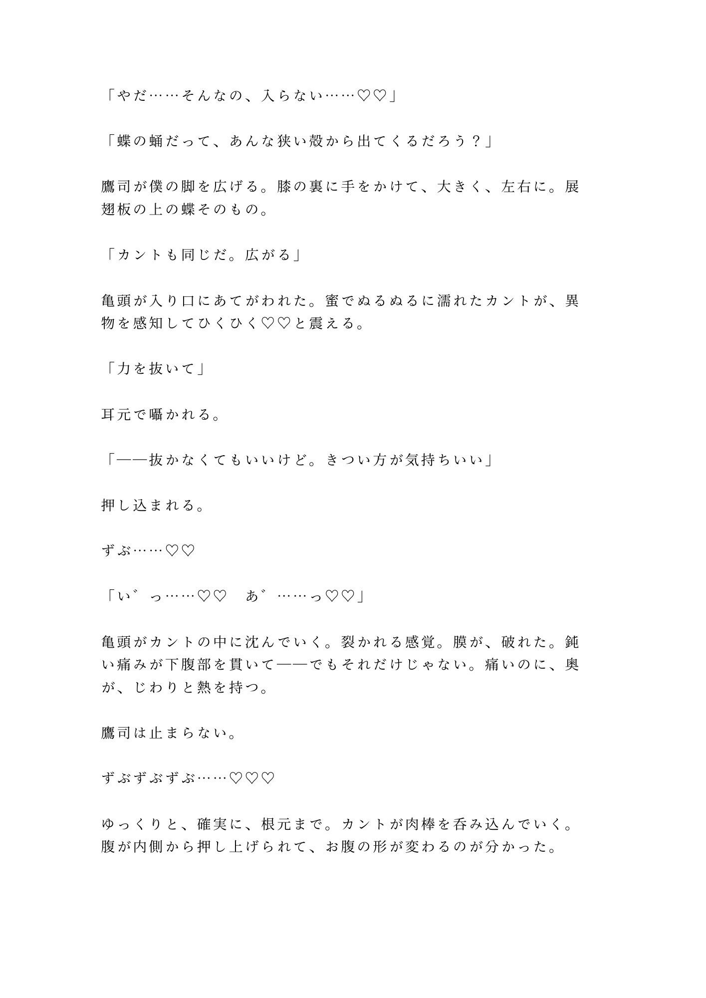 「動かないで」蝶の標本室で絹のリボンに四肢を広げられた大学院生が三回中出しされて最も美しいコレクションに堕とされる話 - サンプル画像 8