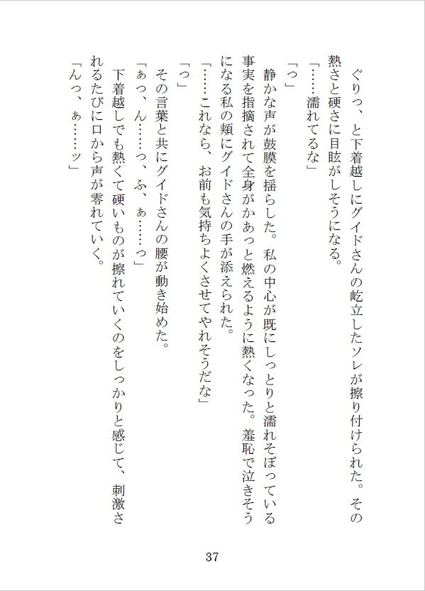 護衛の冒険者を雇って街の外に出たらえっちな目に遭っちゃったけれど、最愛の恋人を手に入れました - サンプル画像 6