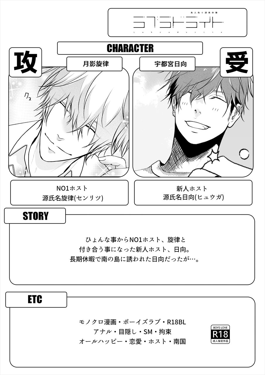 ラブラドライト - サンプル画像 2