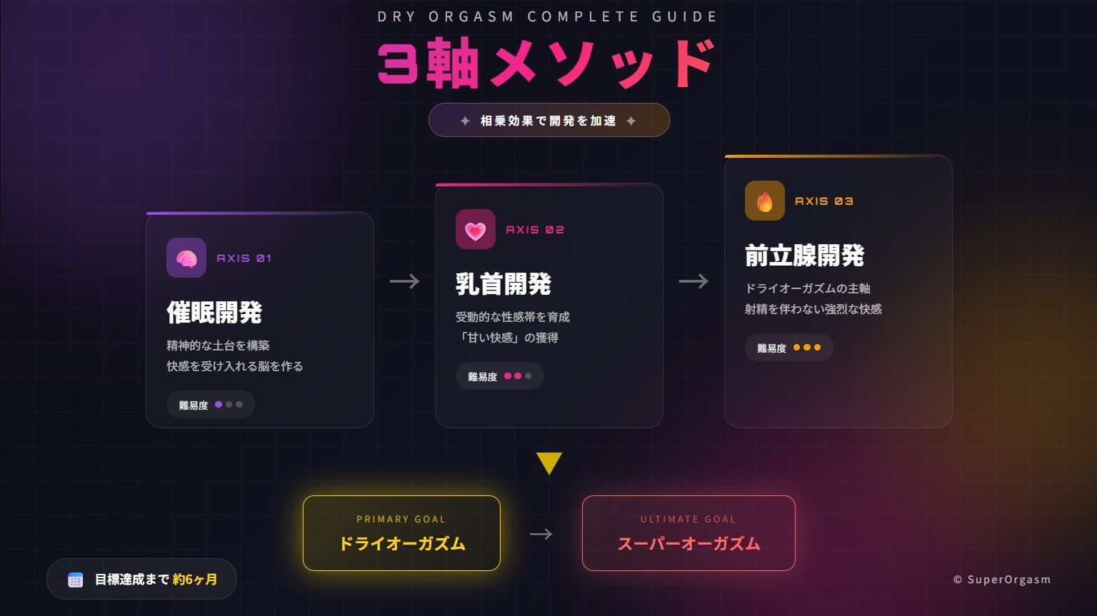 ドライオーガズム6ヶ月完全開発ガイド 催●・乳首・前立腺の3軸メソッド - サンプル画像 3