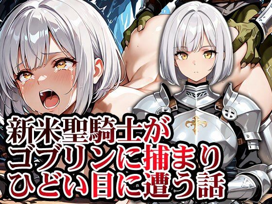新米聖騎士ゴブリンに捕まりメス堕ち