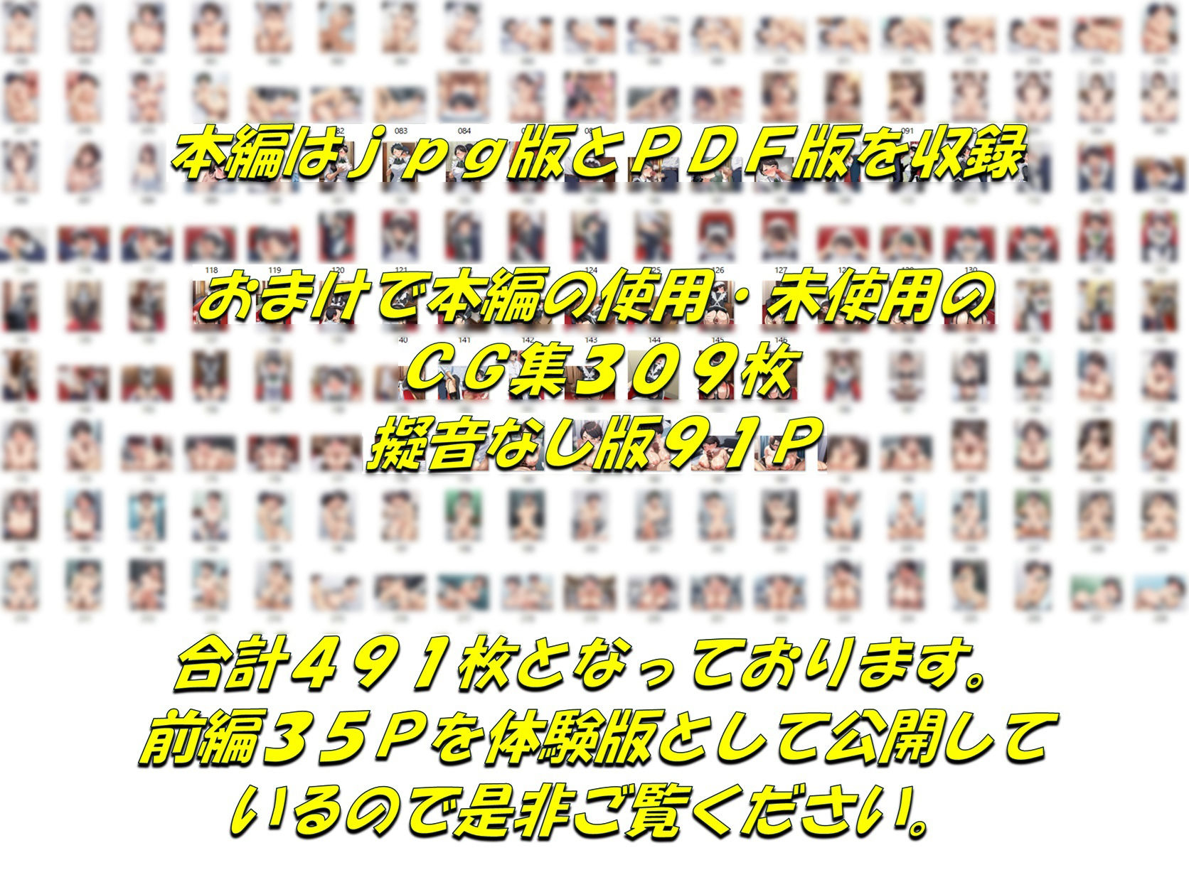 メイドで童貞卒業するよう言われたので昔から好きだった行き遅れ処女メイド長を寵愛して孕ませる話 - サンプル画像 10