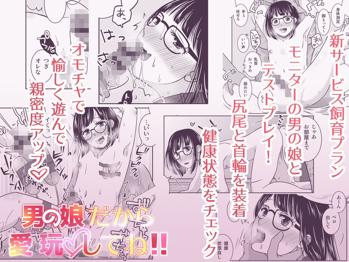 姦されたい系男の娘まとめ＋α - サンプル画像 6
