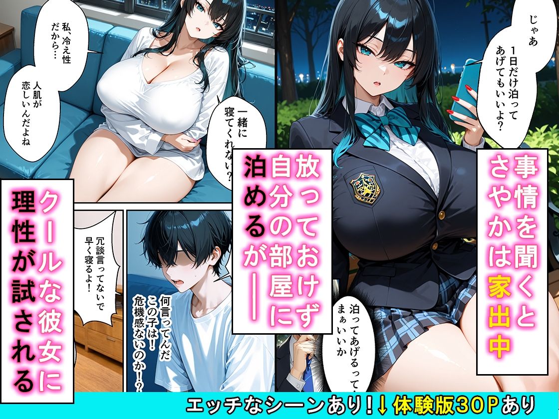 家出したクールなギャルを拾ったらベタ惚れされてイチャラブセックスした話 - サンプル画像 2