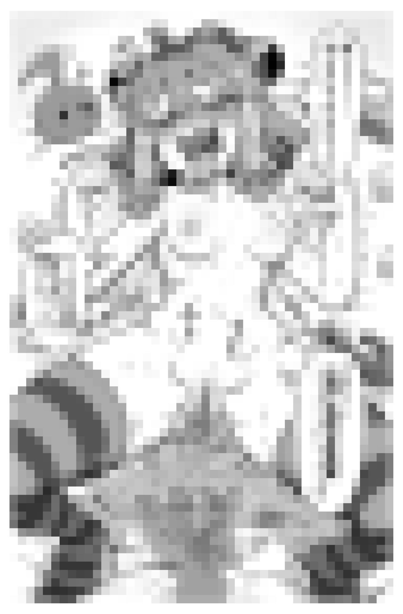 冒涜少女クトゥルフちゃんえちえちペット飼育体験 - サンプル画像 8