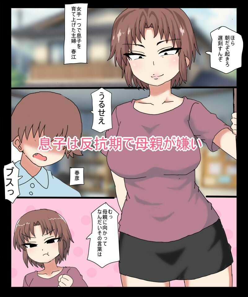 反抗期の息子が 働いてる熟女壁穴ヘルスにきちゃったので バレないように息子チンポを抜 - サンプル画像 1