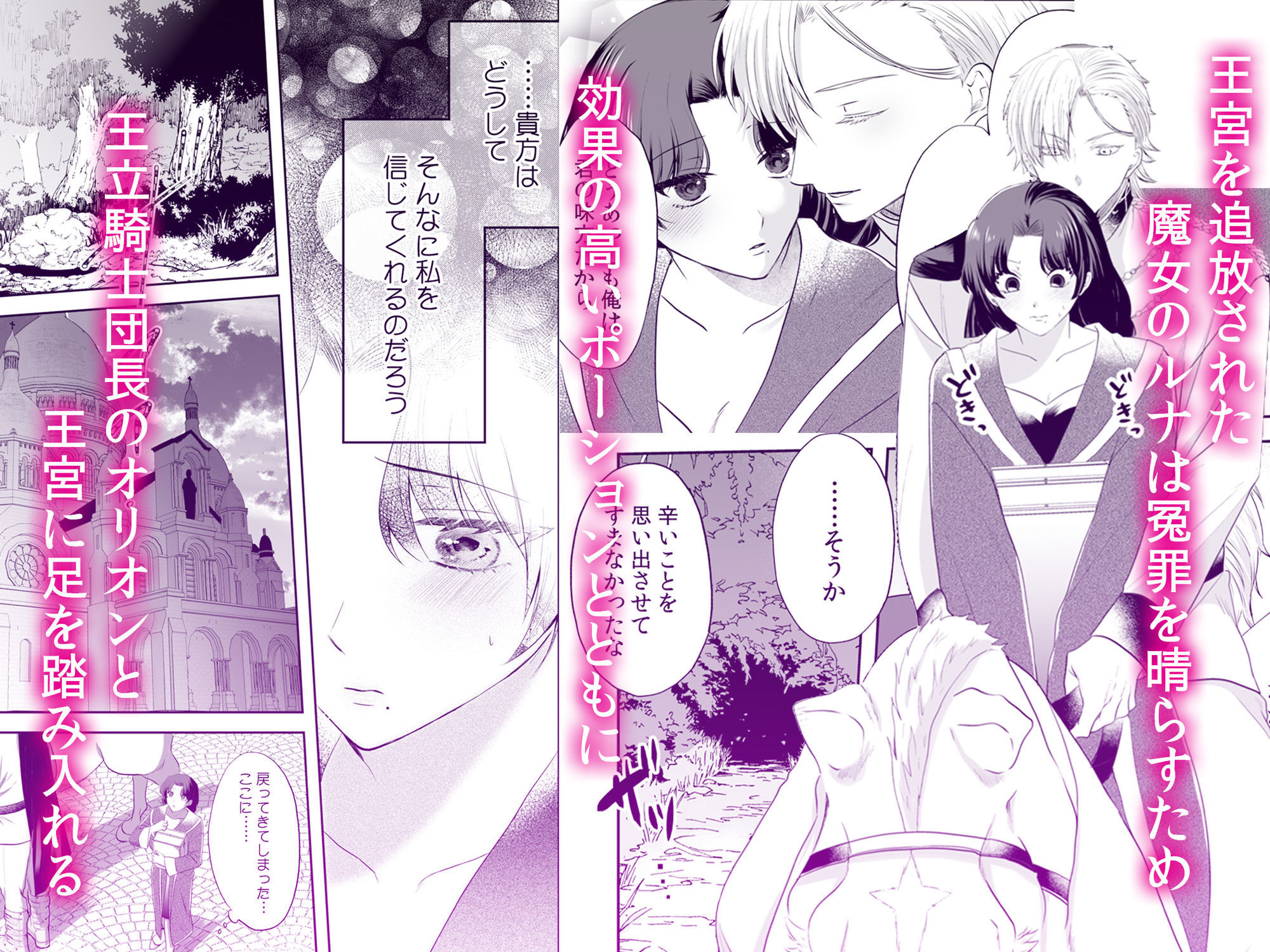 追放魔女は冷酷騎士の重すぎる愛に気付かない〜何度イッても終わらない暴走発情エッチ〜 2 - サンプル画像 2