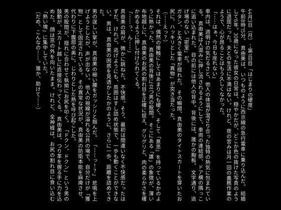 【官能小説】快楽の通姦快速 - サンプル画像 2