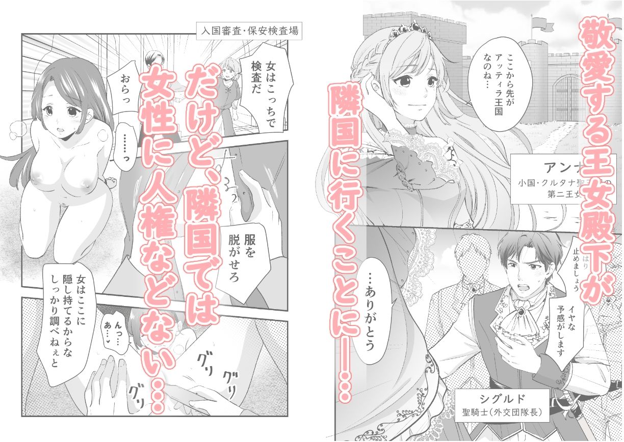 人権がなくなった王女殿下  〜入国審査編〜 - サンプル画像 1