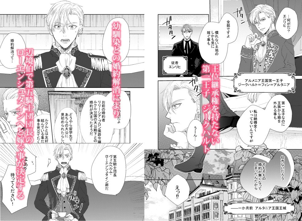 辺境伯騎士の執着婚 - サンプル画像 1