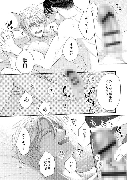 辺境伯騎士の執着婚 - サンプル画像 9