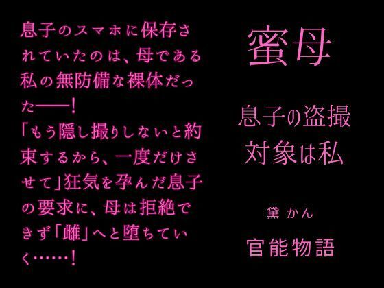 蜜母 〜息子の盗撮対象は私〜