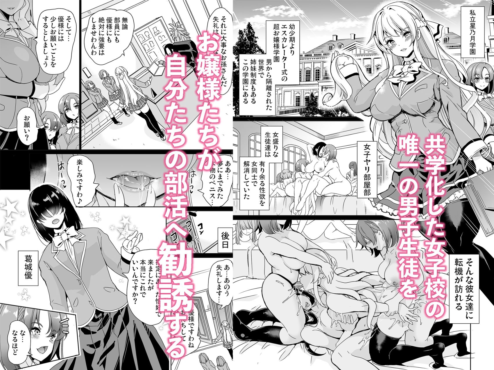 女子ヤリ部屋部の男根    〜痴女ハーレム〜  総集編 - サンプル画像 1