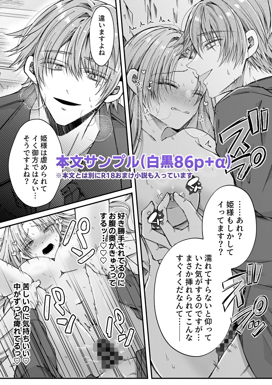姫様に忠誠を誓ったはずの軍人は、逆に誓いを求める狂犬になりました - サンプル画像 10