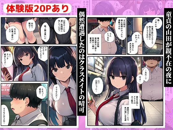 家出した同級生を泊めたら童貞卒業した話〜クールな女子校生が俺のチンポに堕ちるまで〜 - サンプル画像 1
