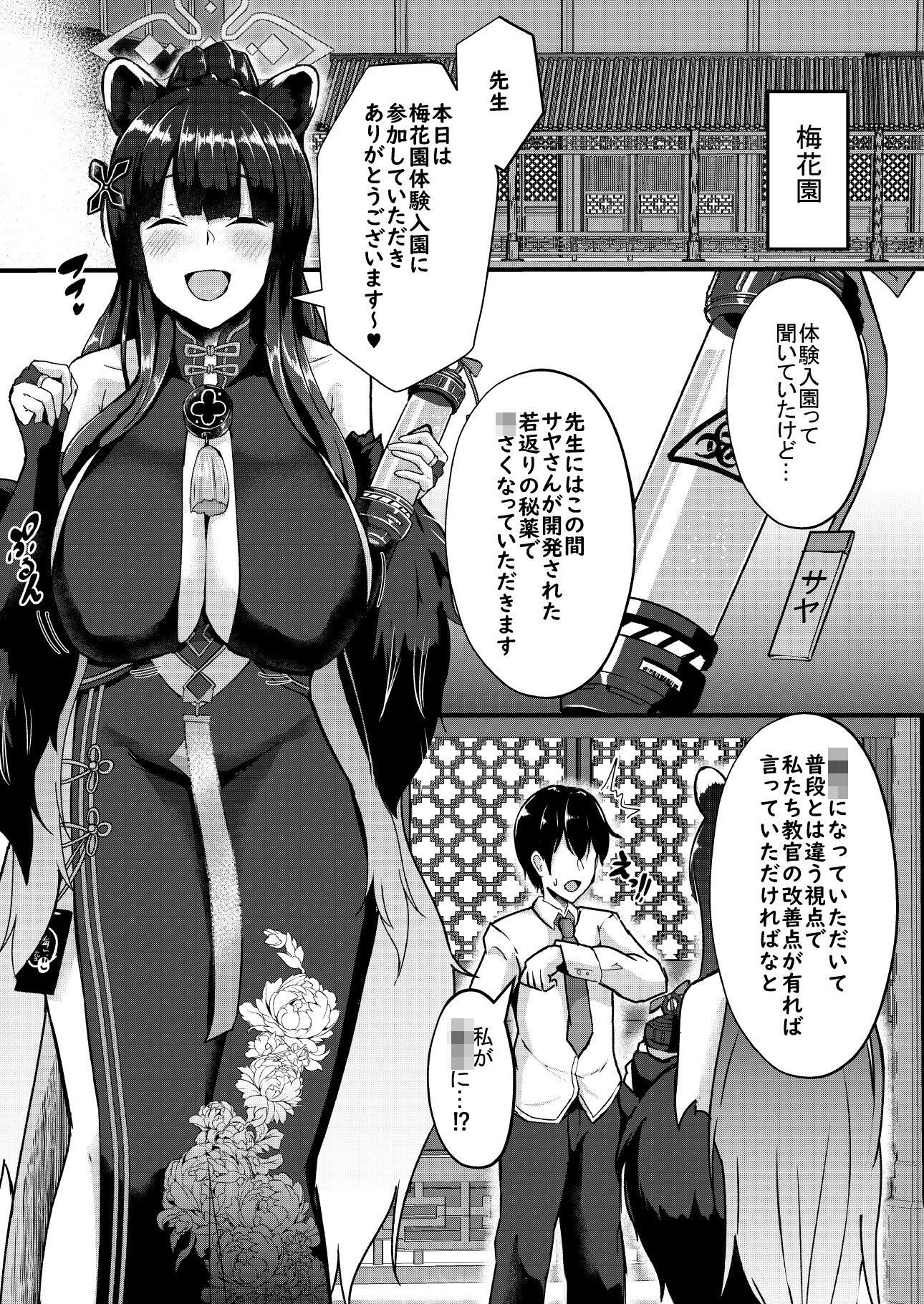 -Bl○e Archive- Summary Book - サンプル画像 2
