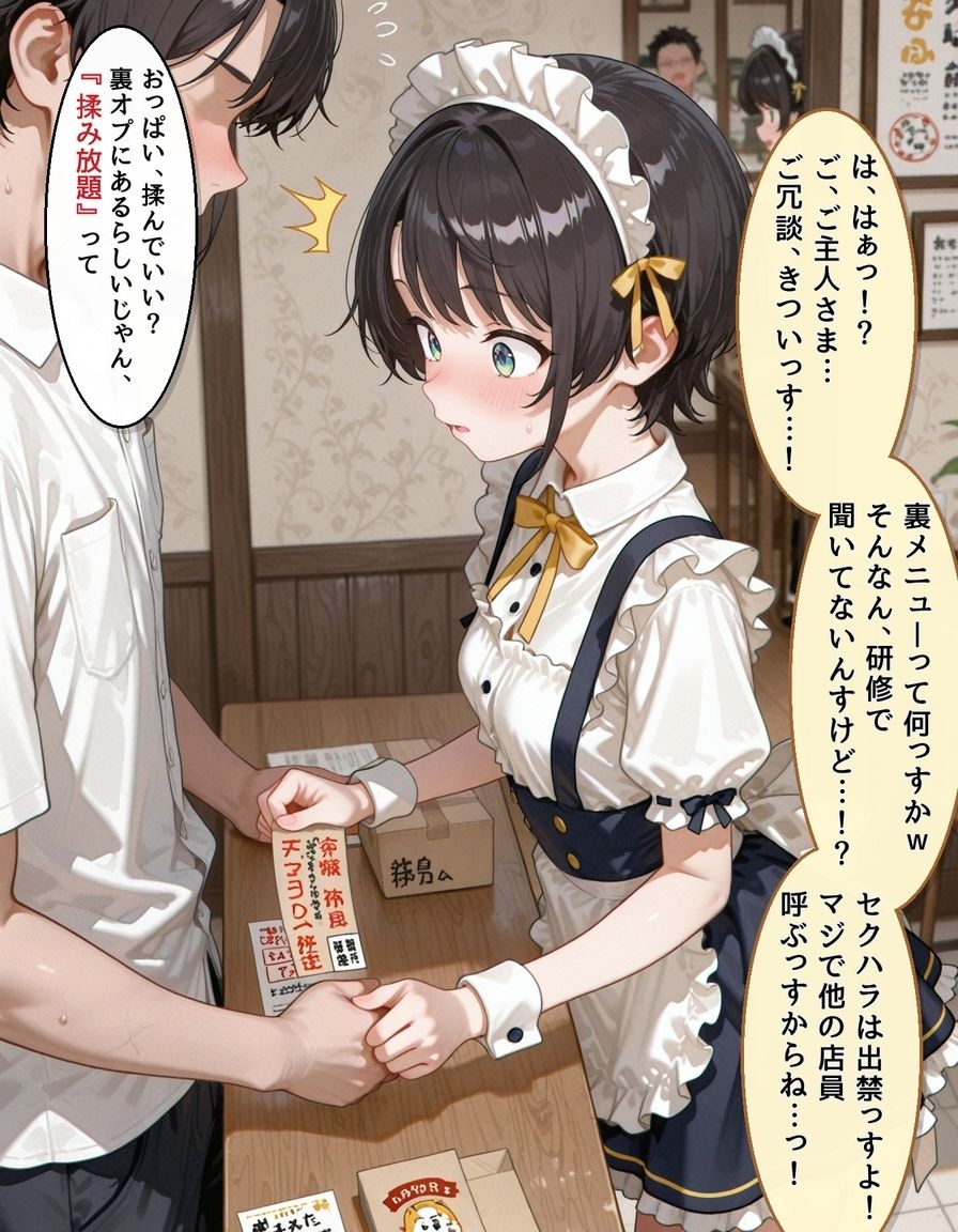 裏オプ新人メイド 大〇スバル - サンプル画像 1