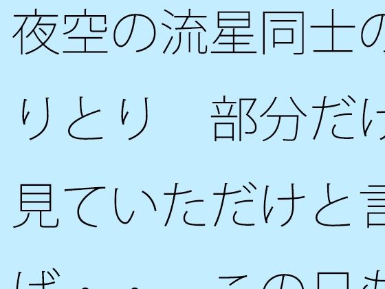 夜空の流星同士のやりとり  部分だけを見ていただけと言えば・・  この日もポケットに携えて