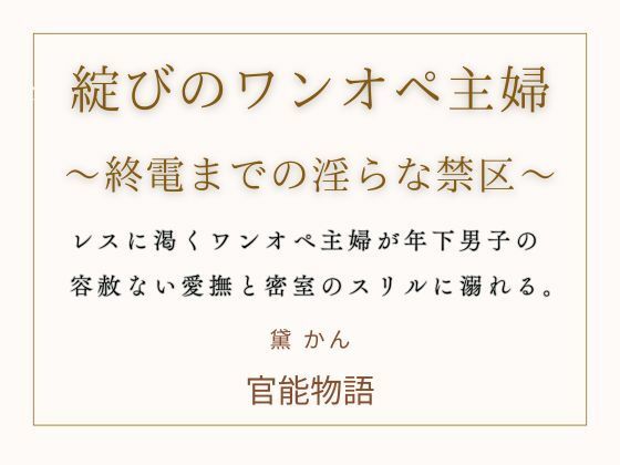 綻びのワンオペ主婦  〜終電までの淫らな禁区〜
