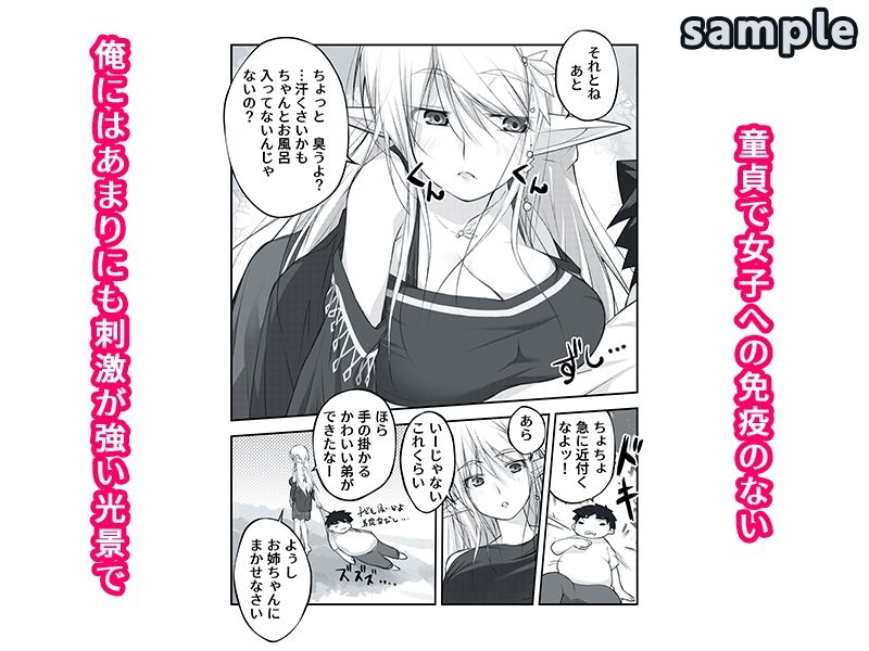 剥いてくれるエルフ姉が欲しかった - サンプル画像 2