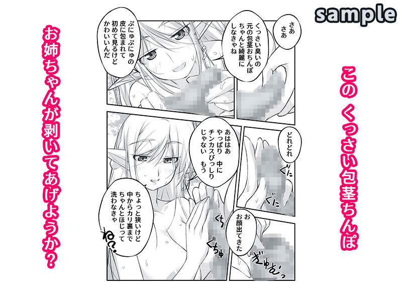剥いてくれるエルフ姉が欲しかった - サンプル画像 3