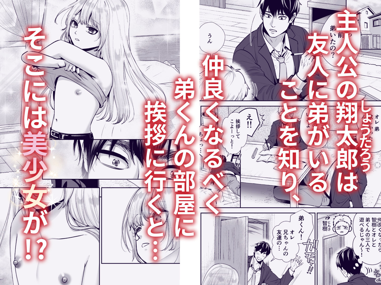 もらった弟くんは雑魚乳首の男の娘でした - サンプル画像 1