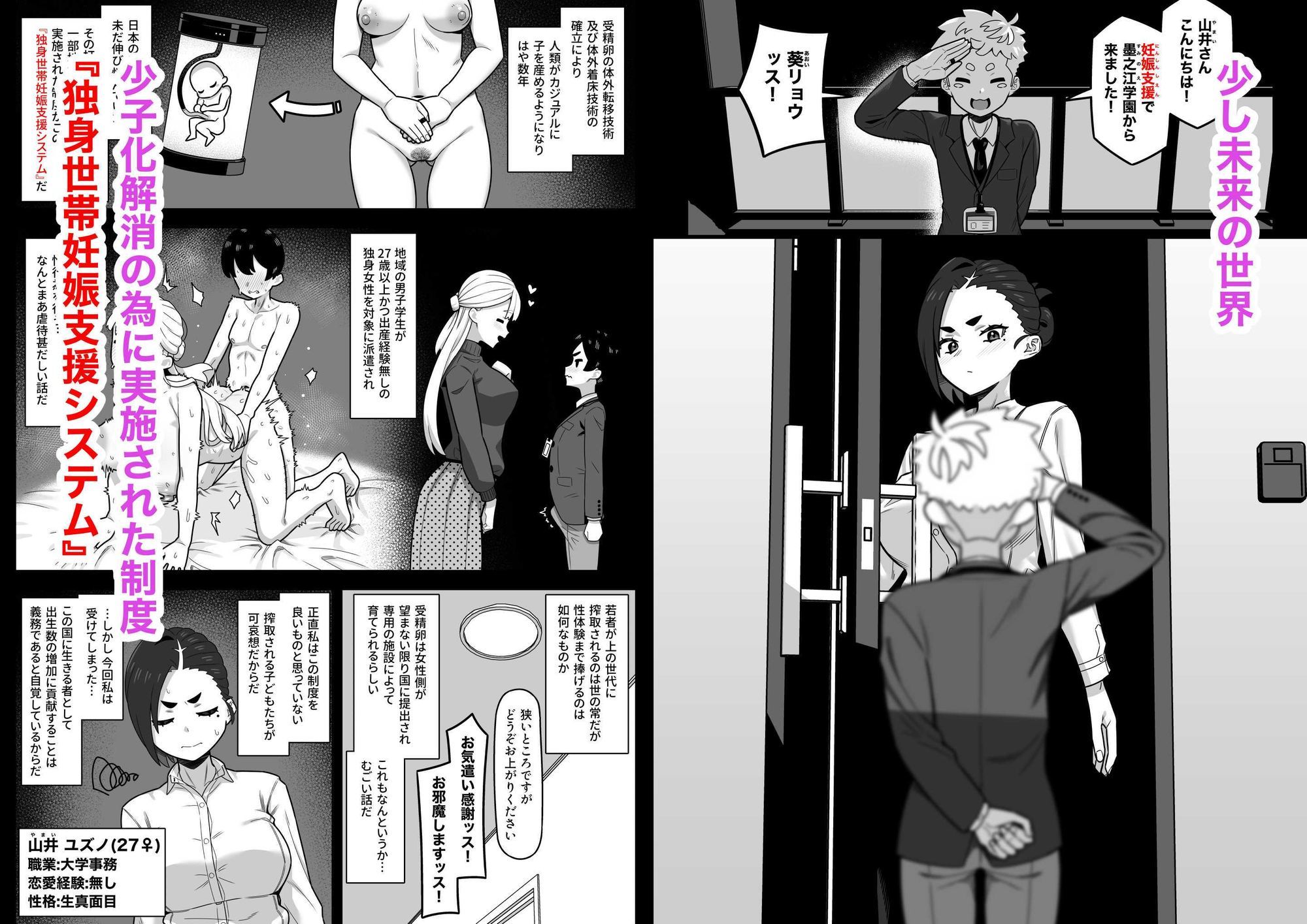 独身世帯妊娠支援システム - サンプル画像 1