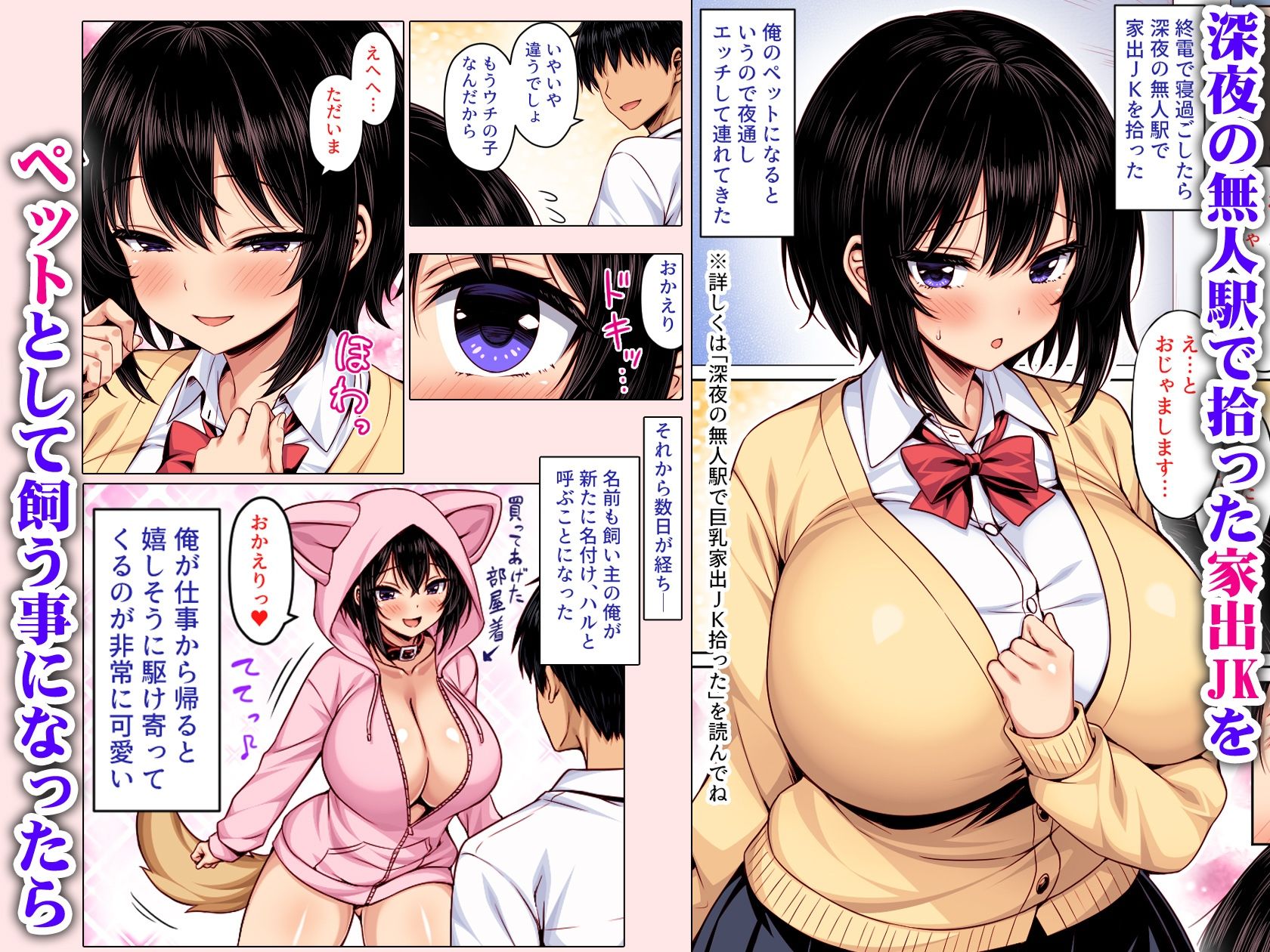 深夜の無人駅で拾った巨乳家出JKの飼い主の日常  カラー版 - サンプル画像 1