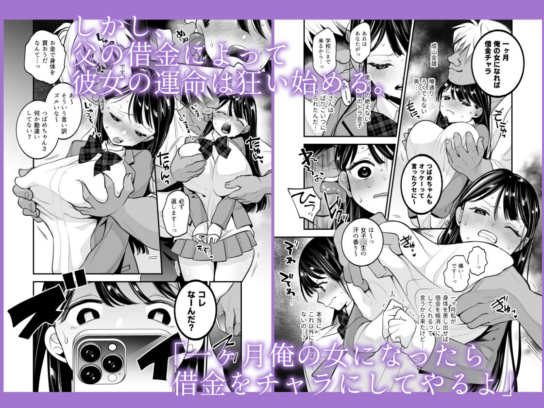 つばめちゃん墜落日記  〜一ヶ月奴●契約〜 - サンプル画像 2