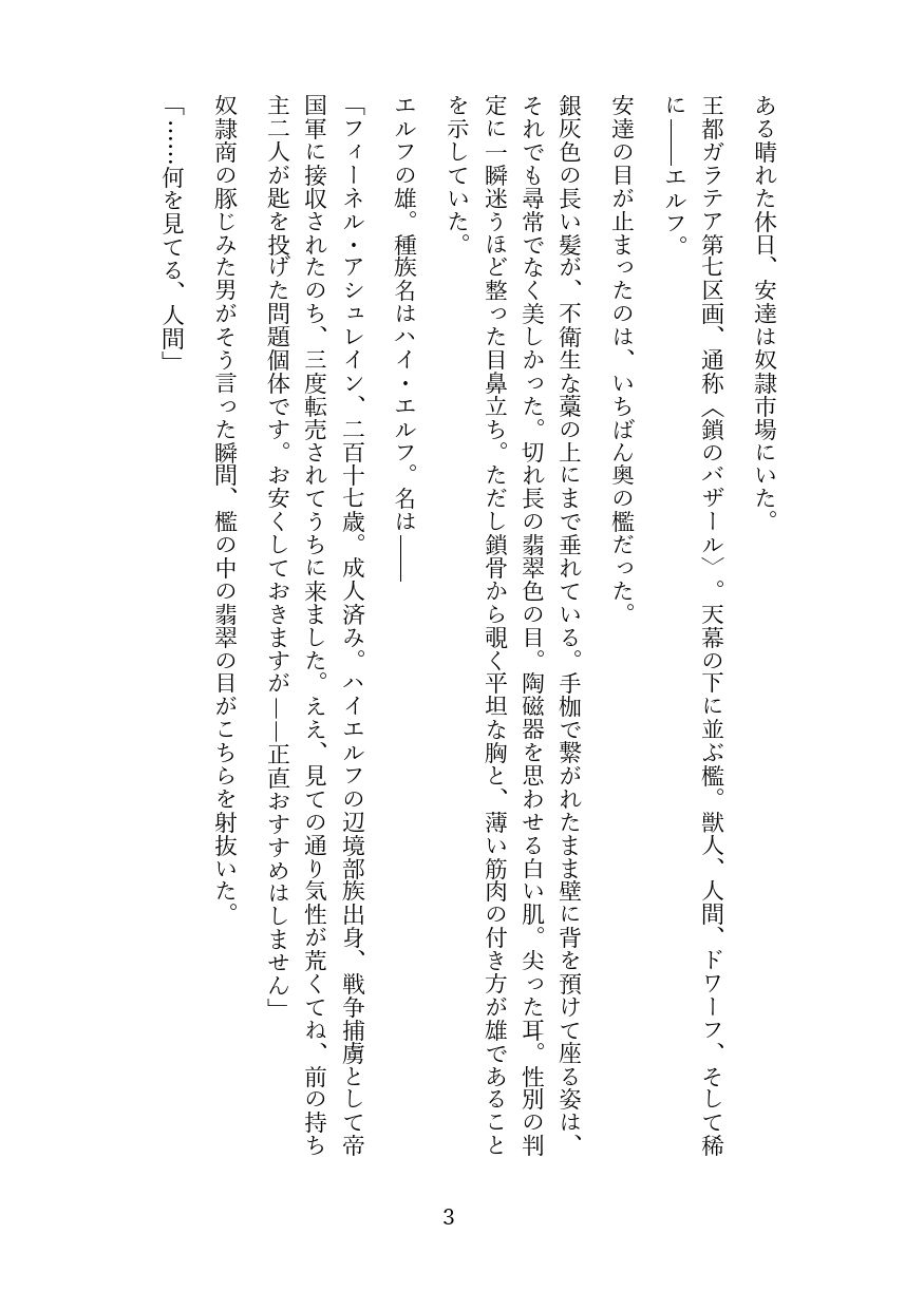 高慢なハイエルフを奴●調教してメス堕ちさせる話 - サンプル画像 2