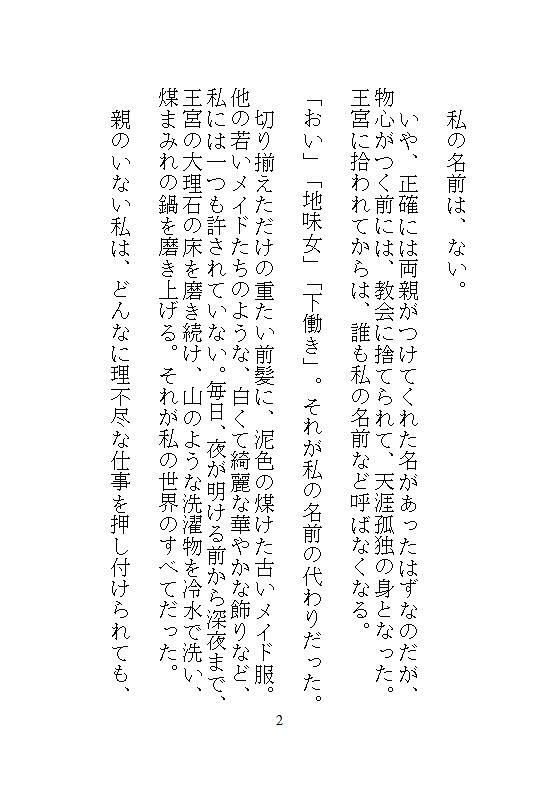 身代わりに地下牢へ落とされた地味メイド。狂暴な竜皇太子の本能を覚醒させ、ナカをマグマのような精子でどちゅどちゅ満たされる溺愛生活 - サンプル画像 9