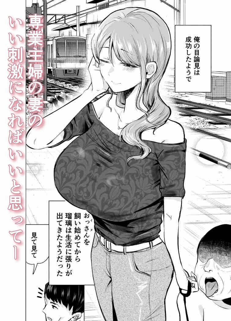 妻がおっさんに寝取られた話 - サンプル画像 3