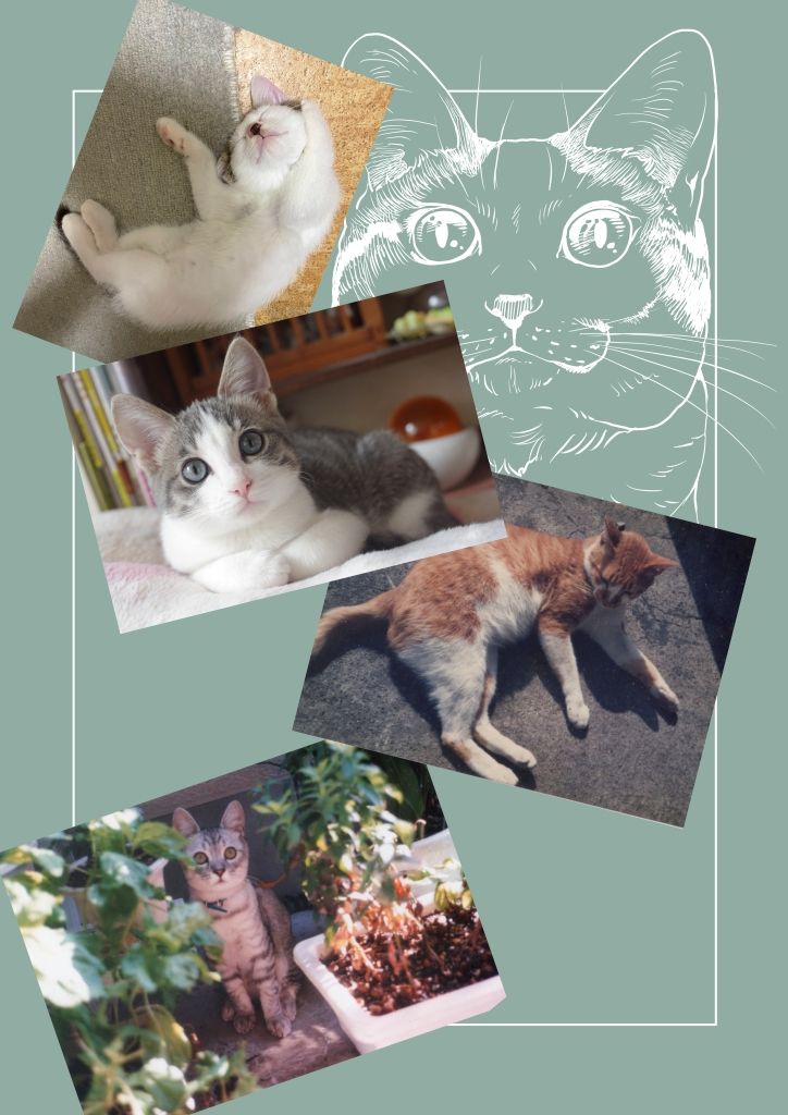 ねこのあれこれ - サンプル画像 8