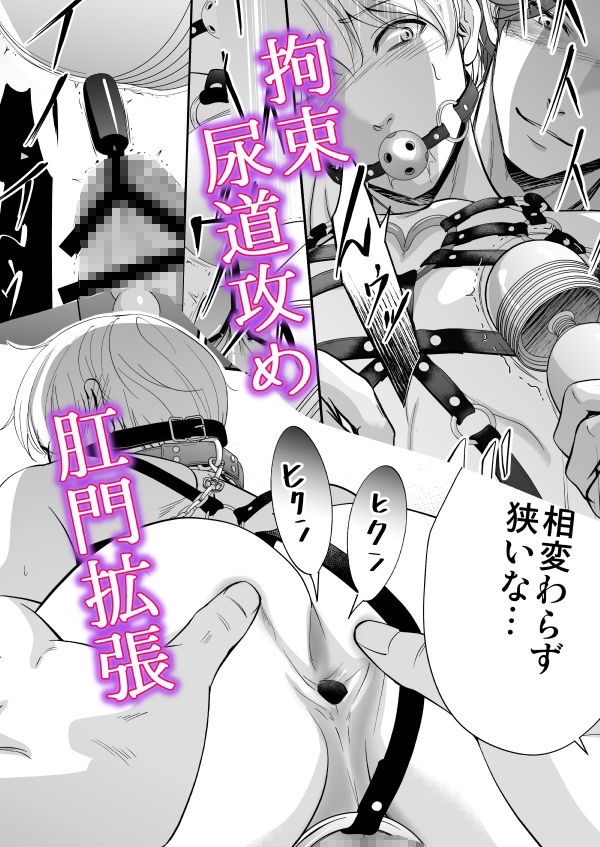 ドSスイッチ - サンプル画像 8