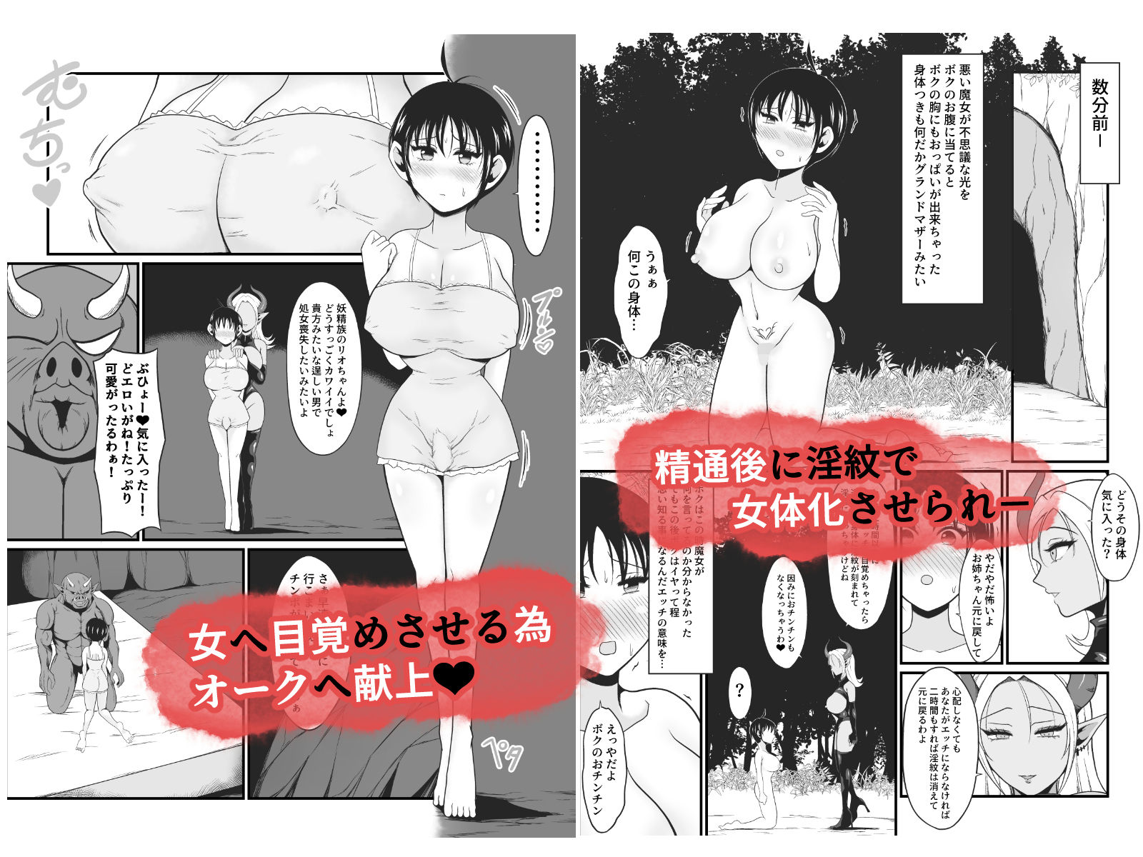 【TS悪堕ち】妖精のボクがオークのデカマラチンポに敗けてエッチな淫魔娘になっちゃうお話 - サンプル画像 4