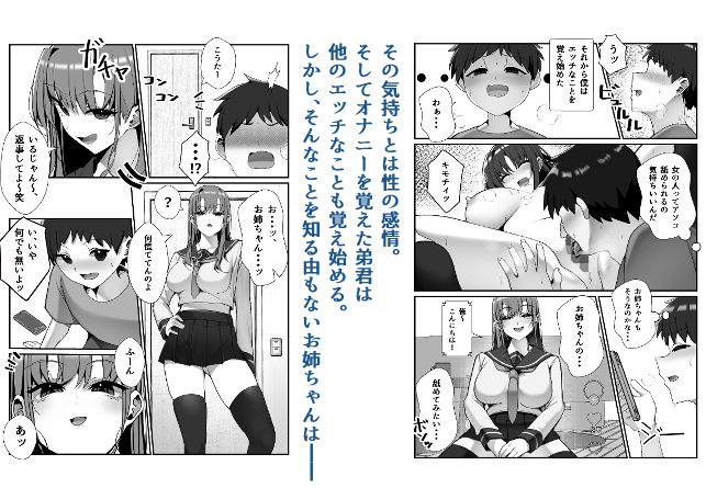 SNSでバズっている姉に筆おろししてもらう話 - サンプル画像 3