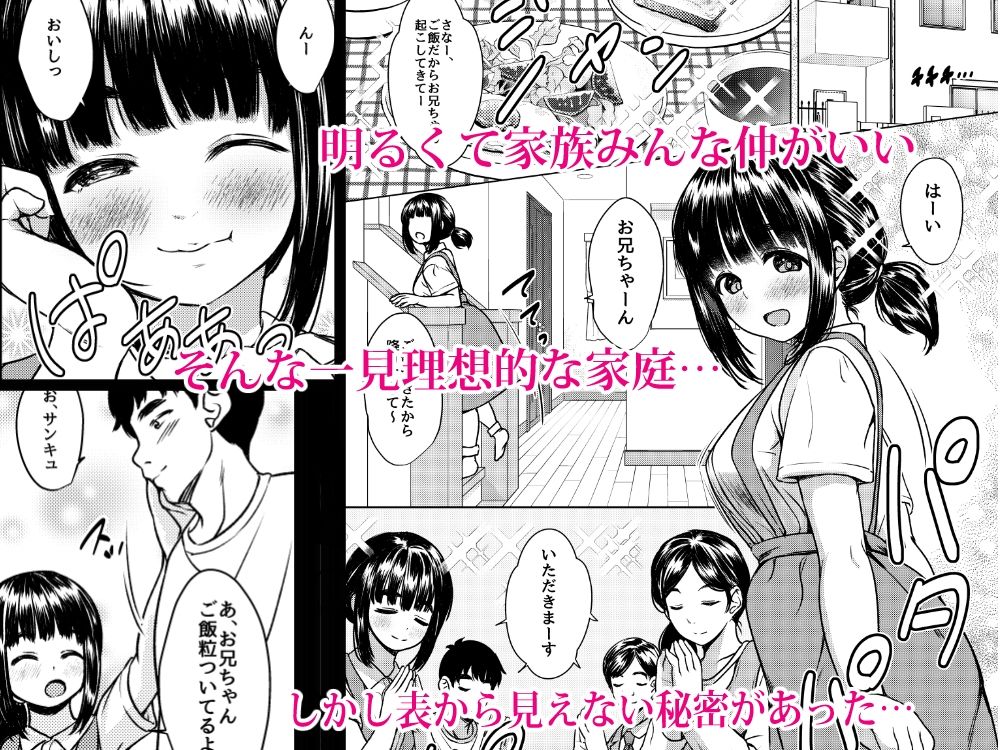 兄妹が終わる時  〜可愛く成長した妹に壊れた兄が手を出すまで〜 - サンプル画像 1
