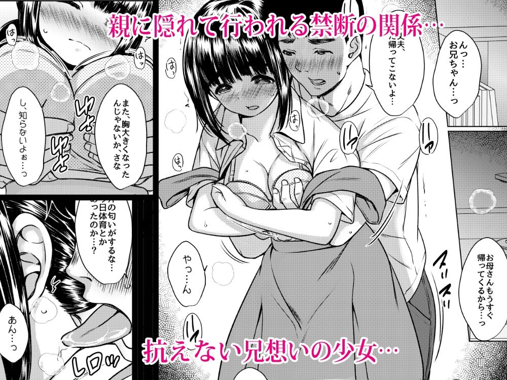 兄妹が終わる時  〜可愛く成長した妹に壊れた兄が手を出すまで〜 - サンプル画像 2