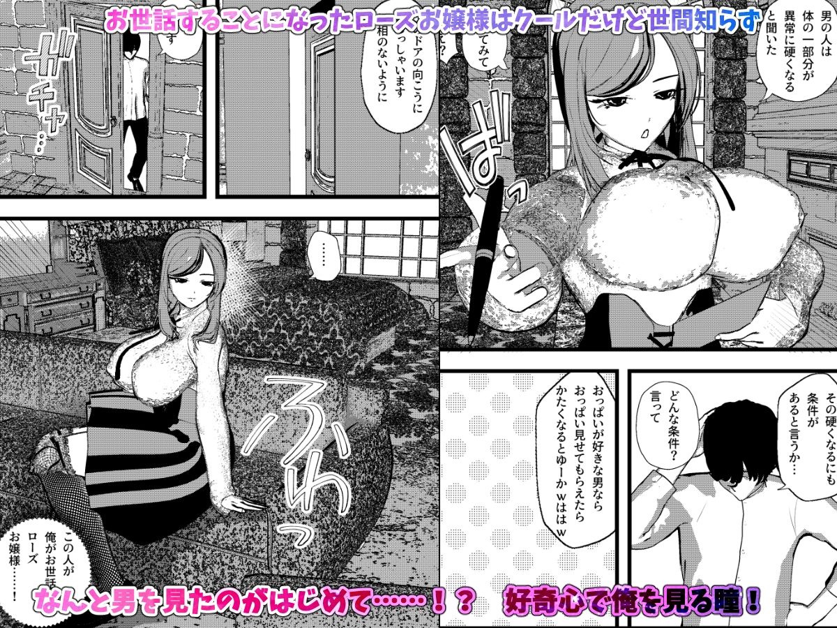 無表情クールなお嬢様は俺の事が大好きで献身的なSEXしてくれちゃうッ！ - サンプル画像 1