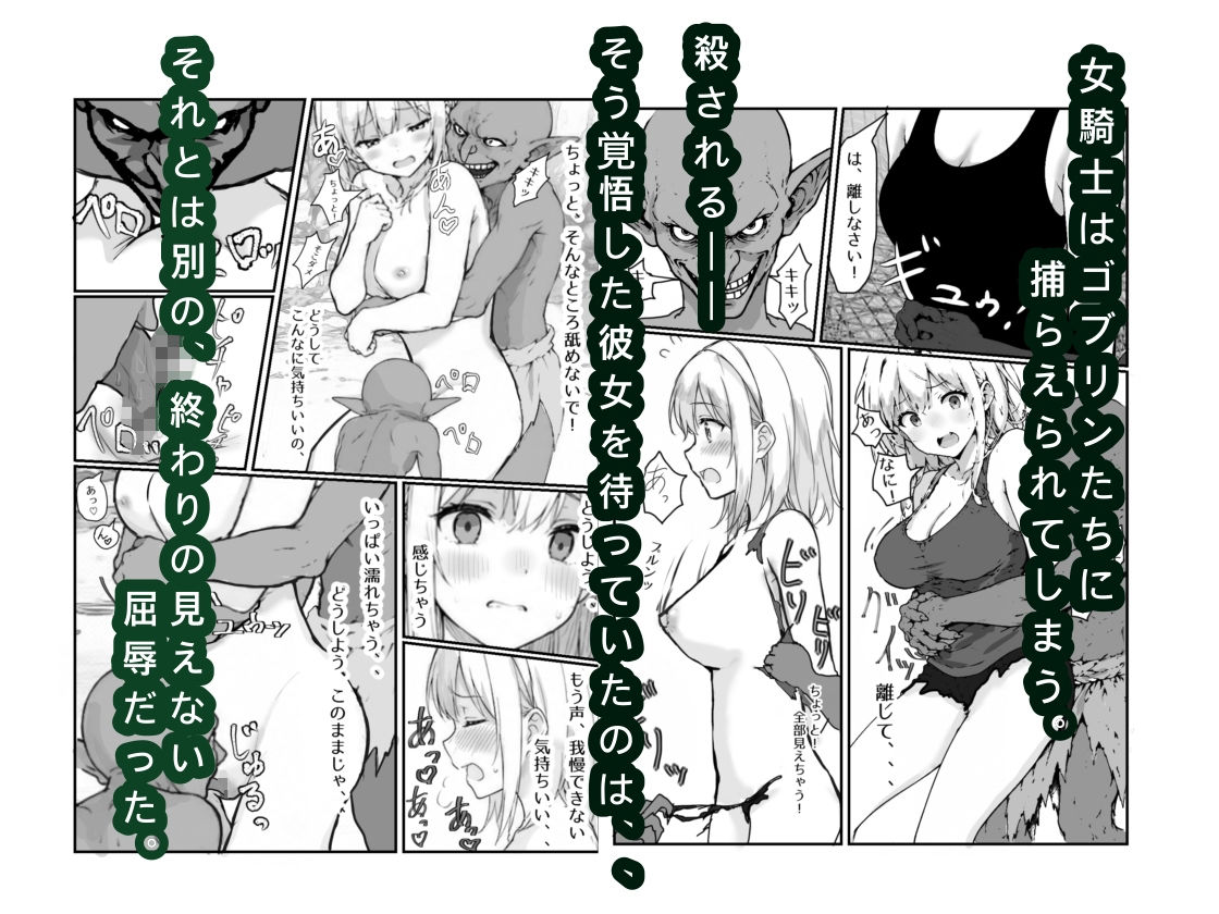 女騎士敗北録 〜ゴブリンの森〜  1 - サンプル画像 3