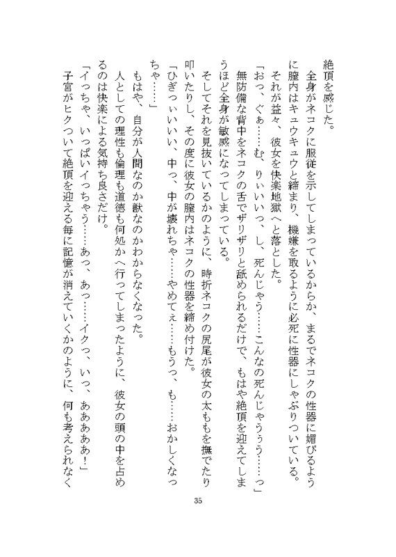 ケダモノ戦記（上） 〜歪んだ十二匹と猫による神様だったヒロイン溺愛ヤンデレ争奪戦〜 - サンプル画像 7