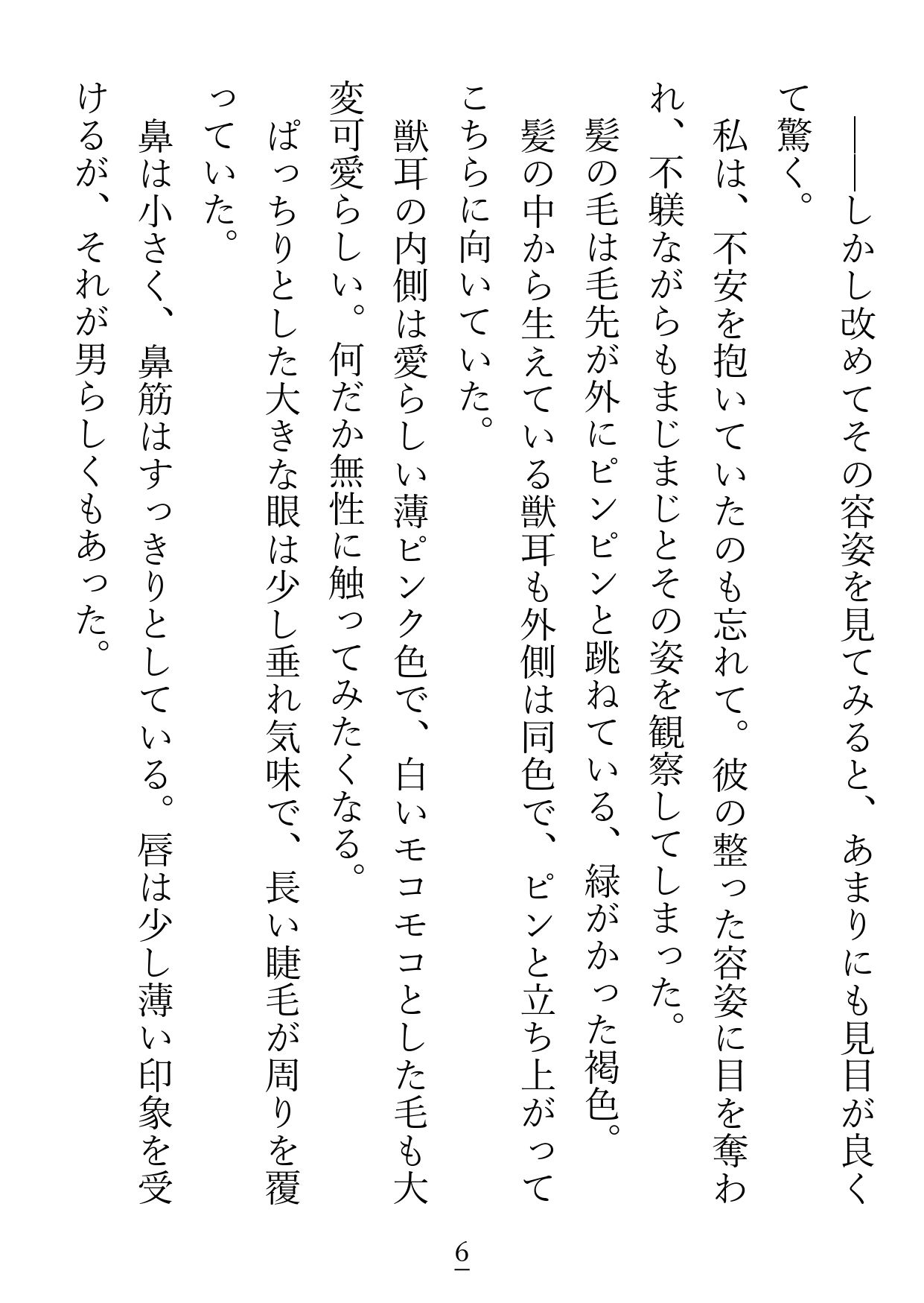 私の相棒は激重猫獣人のリッカくん - サンプル画像 4