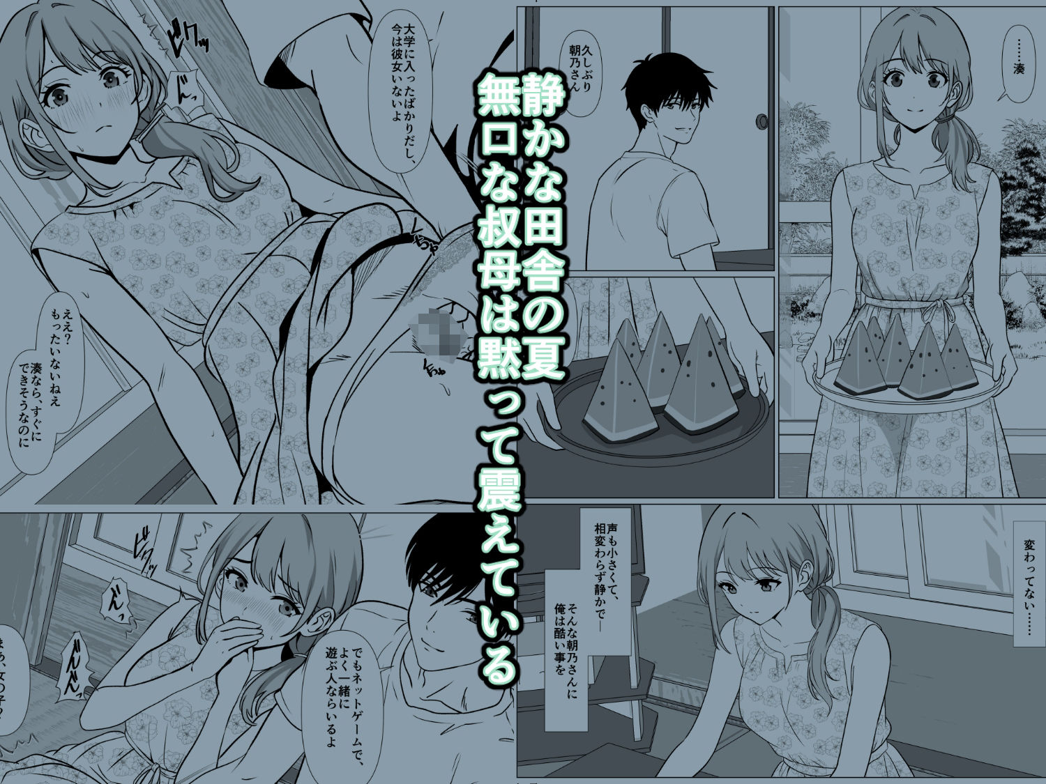 静かな夏 ― 無口な叔母 - サンプル画像 1