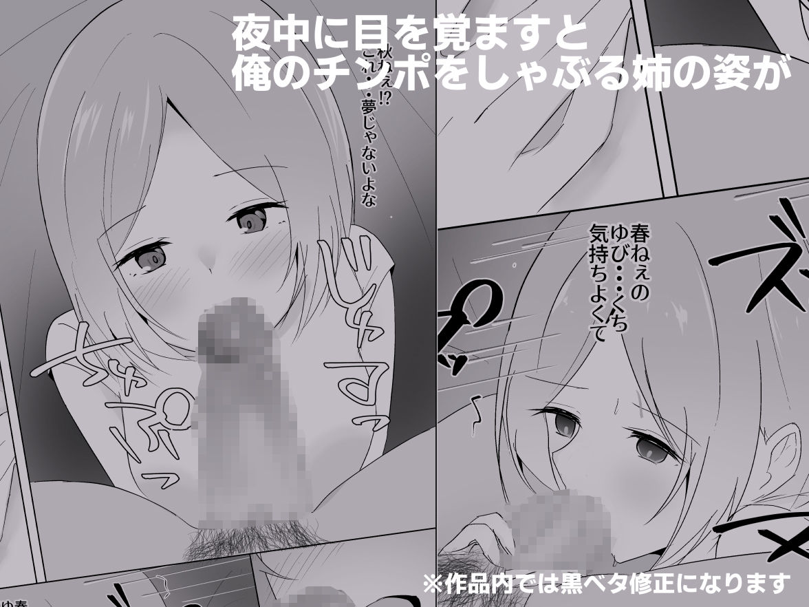 姉がよなよなフェラしてくる - サンプル画像 3