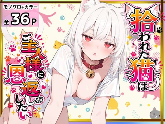拾われた猫はご主人様に恩返しがしたい