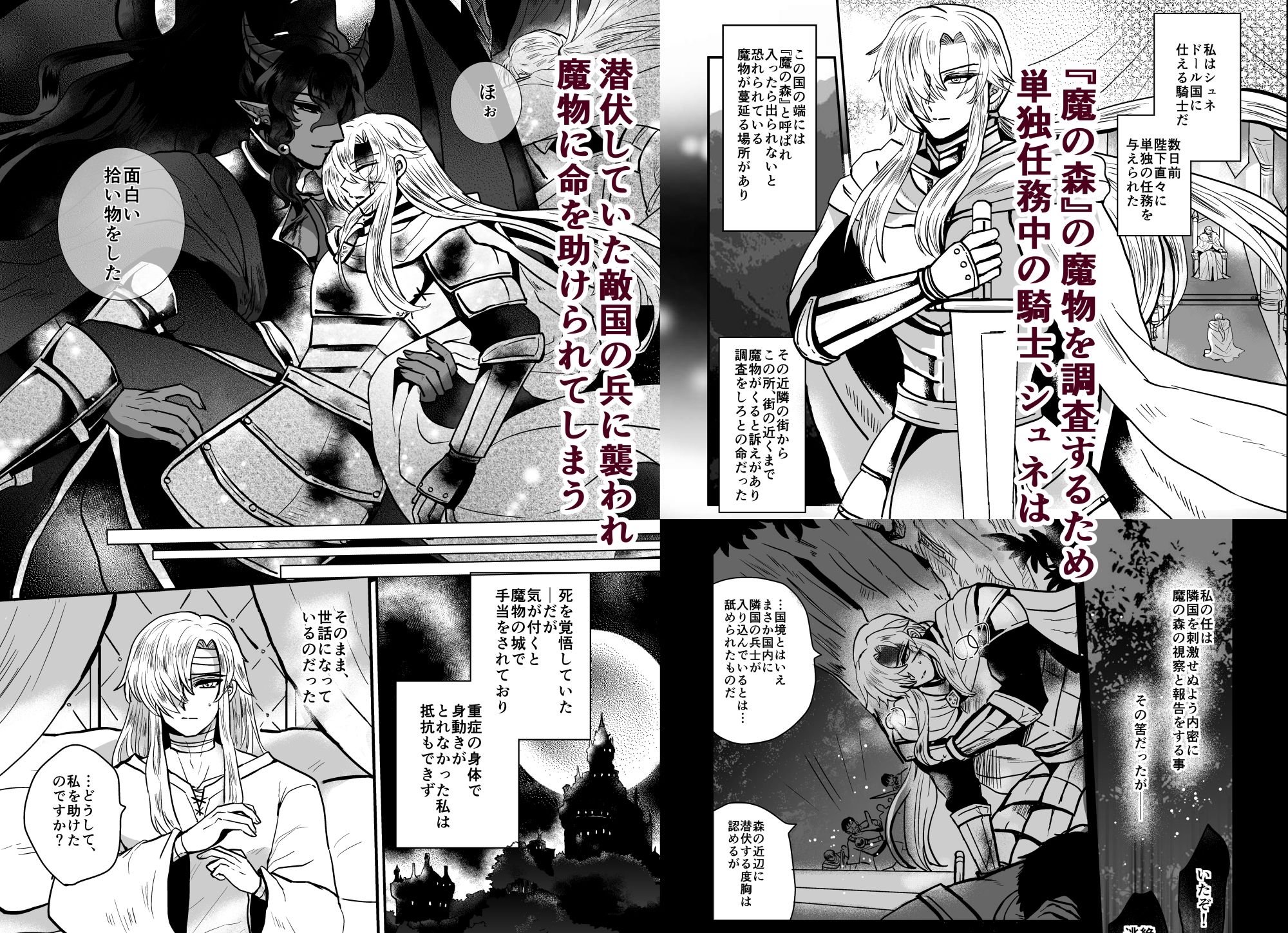 騎士は花嫁になりました - サンプル画像 1