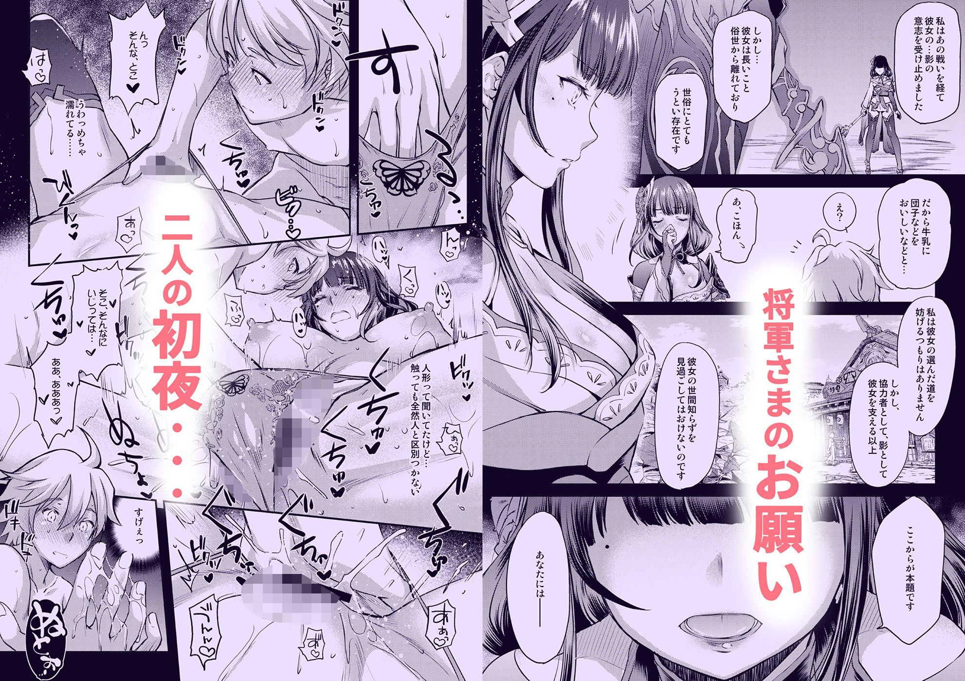 紫電双鳴 - サンプル画像 1